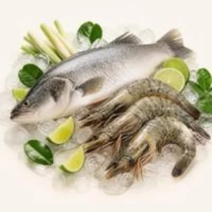 Fresh & Frozen Food
