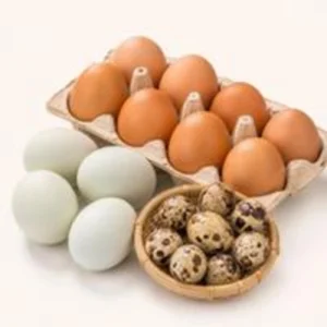 Eggs