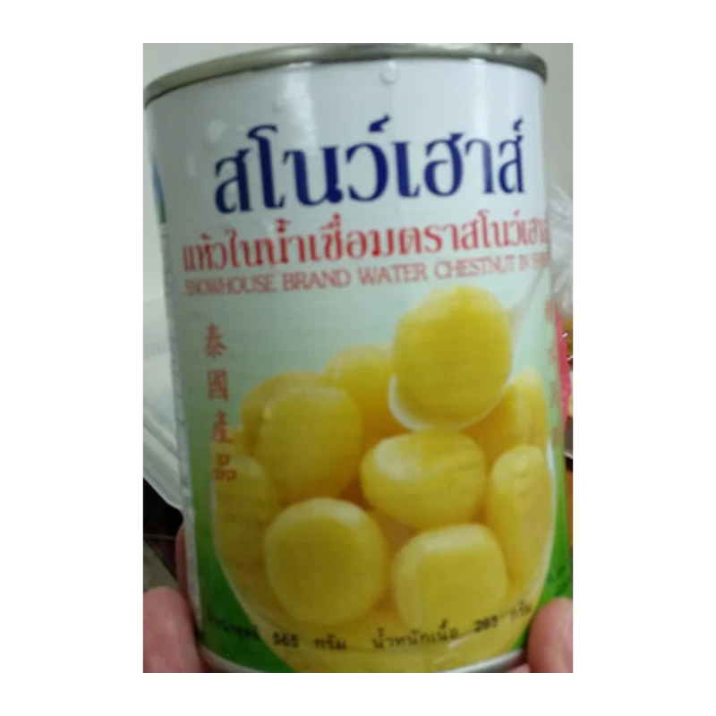 Snow house Water Chestnuts in Syrup 565g